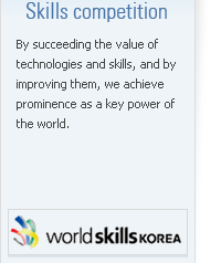 World Skills Korea