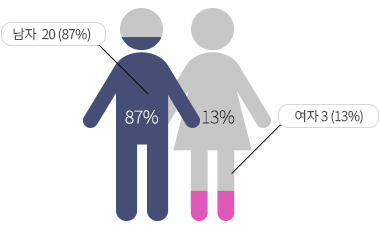 ���� 20��(87%), ���� 3��(13%)